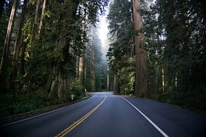 Read more about the article Planning Your Perfect Northern California Road Trip