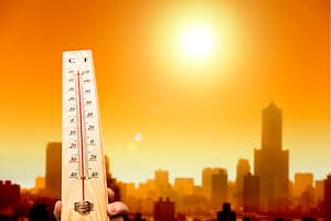 Read more about the article Excessive Heat and Furious Floods Are Expected in Sacramento Valley