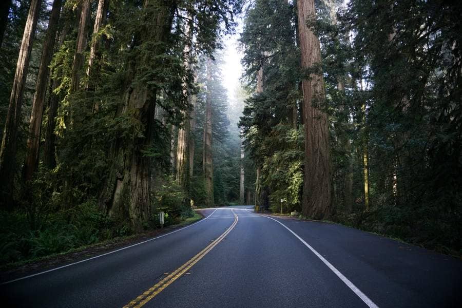 You are currently viewing Planning Your Perfect Northern California Road Trip